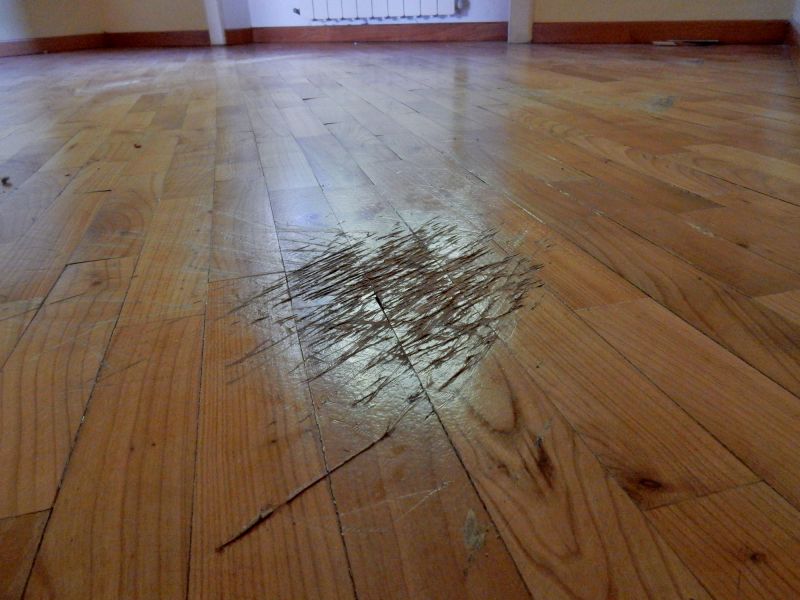 Birch Floor Refinishing in Arvada, CO